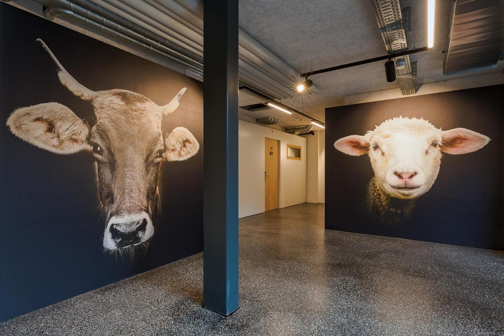 Gasthaus Hof Appenzell Dış mekan fotoğraf